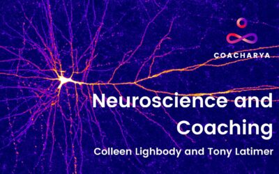 Neuroscience Webinar Series